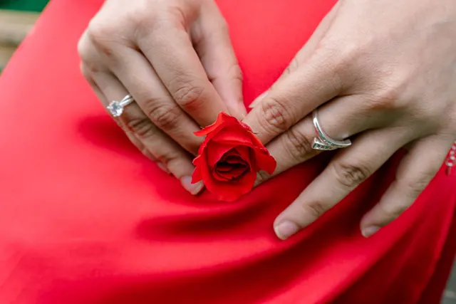 Close-up shot of hands holding a rose on a red dress, symbolizing love and elegance. Where the money sits: an engagement ring purchase, broken down