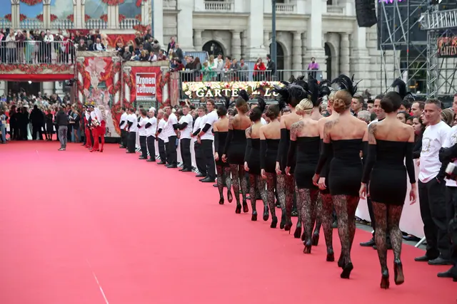 Life Ball 2014, red carpet on the square in front of the Rathaus (Town Hall) of Vienna , Austria. Red-carpet fashion checklist: what to check before you buy